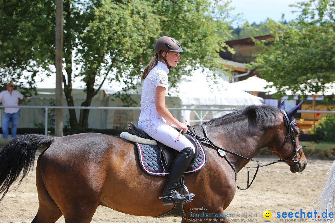 Reitturnier auf dem Ziegelhof in Dettingen-Wallhausen am Bodensee, 22.06.20