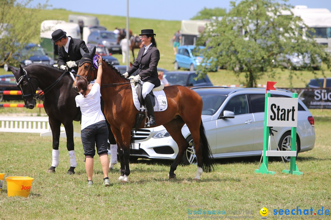 Reitturnier auf dem Ziegelhof in Dettingen-Wallhausen am Bodensee, 22.06.20