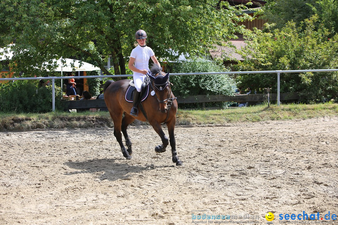 Reitturnier auf dem Ziegelhof in Dettingen-Wallhausen am Bodensee, 22.06.20