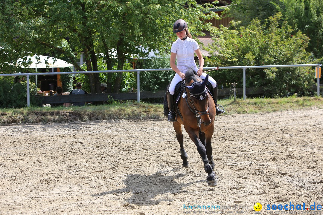 Reitturnier auf dem Ziegelhof in Dettingen-Wallhausen am Bodensee, 22.06.20