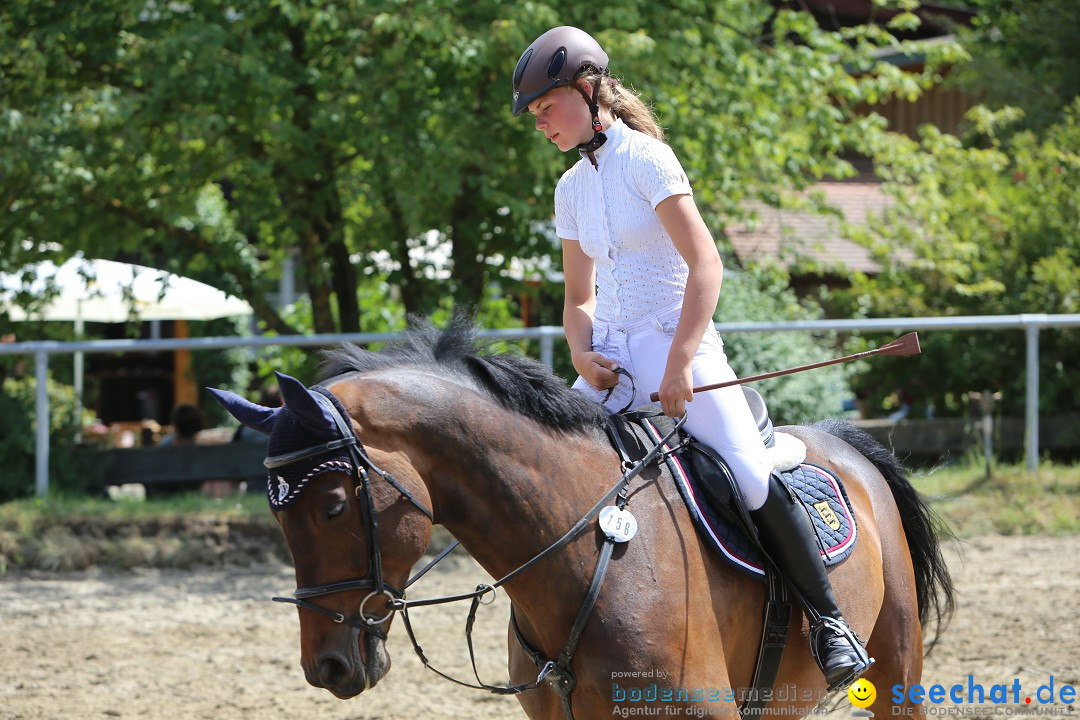 Reitturnier auf dem Ziegelhof in Dettingen-Wallhausen am Bodensee, 22.06.20