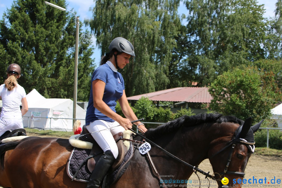 Reitturnier auf dem Ziegelhof in Dettingen-Wallhausen am Bodensee, 22.06.20