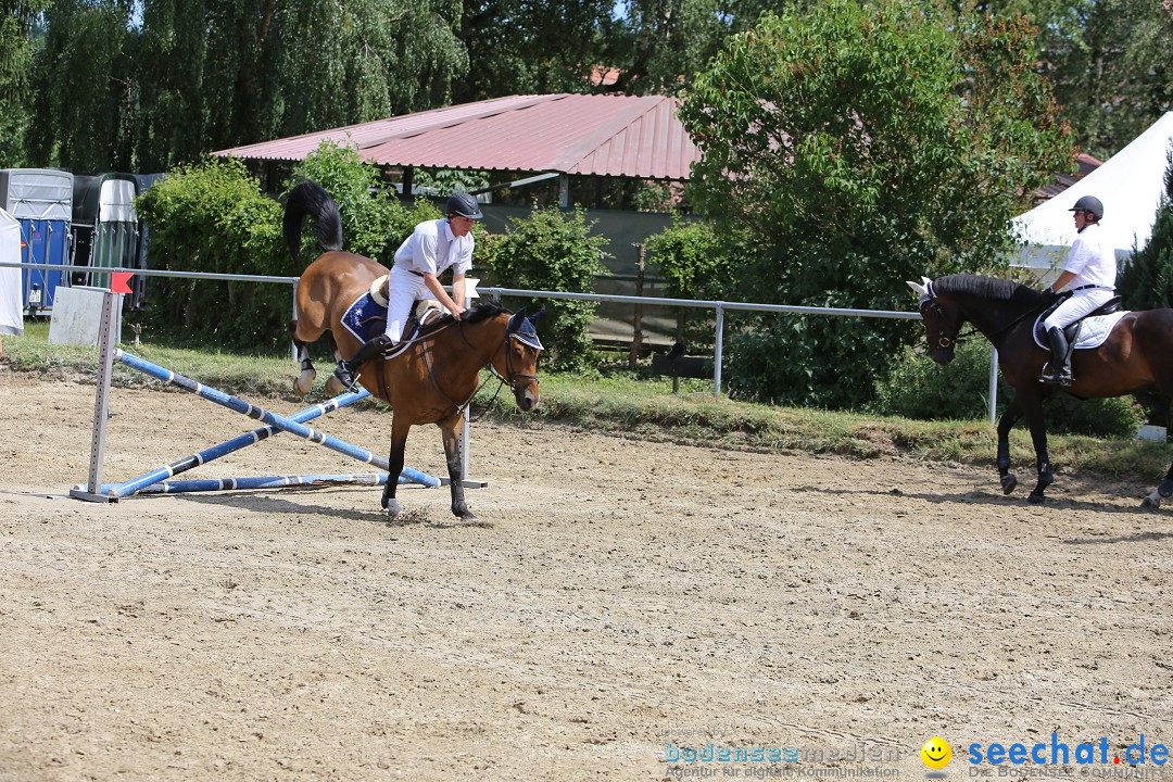 Reitturnier auf dem Ziegelhof in Dettingen-Wallhausen am Bodensee, 22.06.20