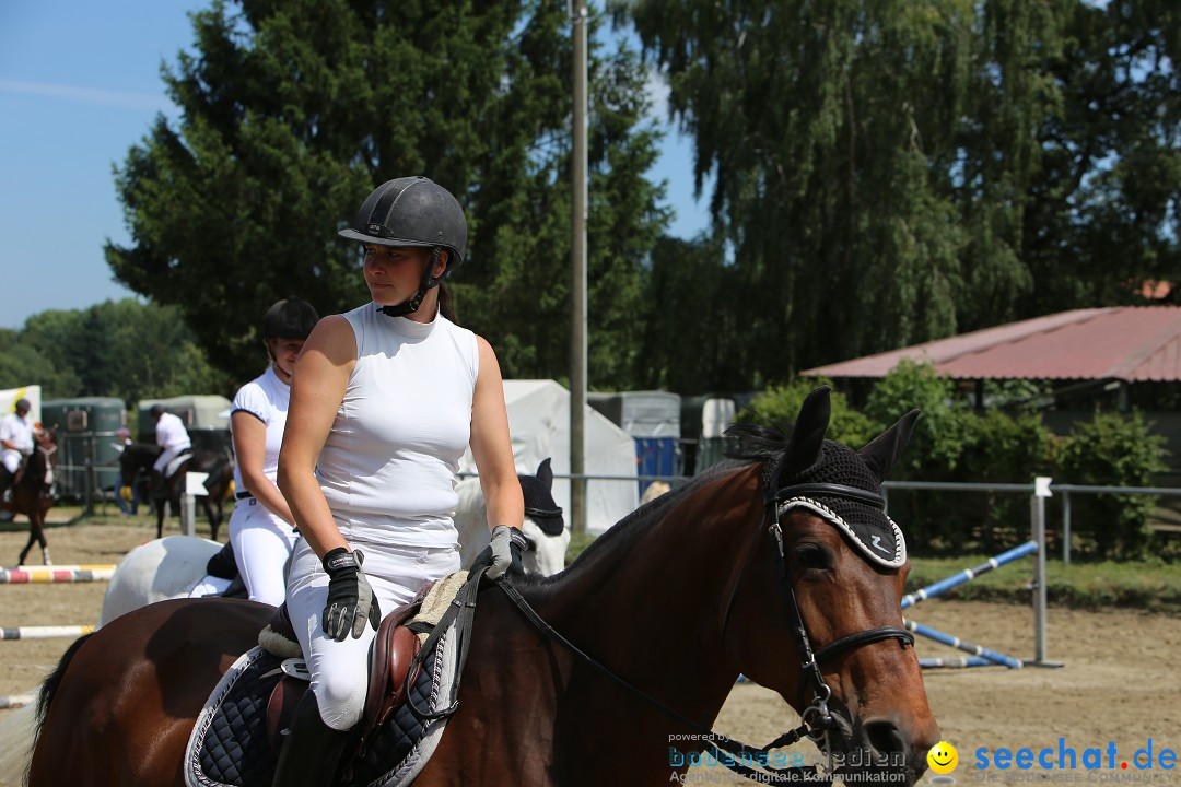 Reitturnier auf dem Ziegelhof in Dettingen-Wallhausen am Bodensee, 22.06.20