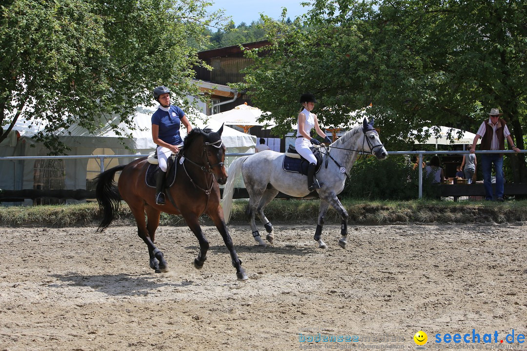 Reitturnier auf dem Ziegelhof in Dettingen-Wallhausen am Bodensee, 22.06.20