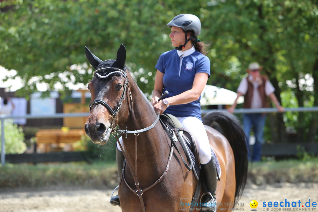 Reitturnier auf dem Ziegelhof in Dettingen-Wallhausen am Bodensee, 22.06.20