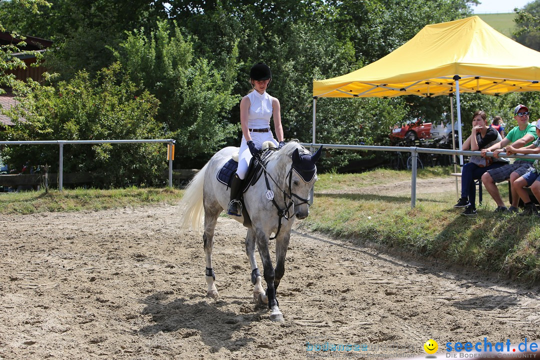 Reitturnier auf dem Ziegelhof in Dettingen-Wallhausen am Bodensee, 22.06.20