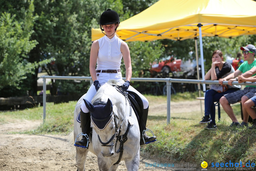 Reitturnier auf dem Ziegelhof in Dettingen-Wallhausen am Bodensee, 22.06.20