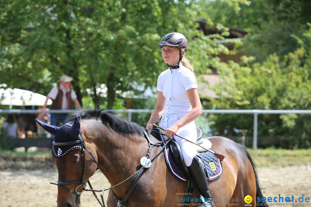 Reitturnier auf dem Ziegelhof in Dettingen-Wallhausen am Bodensee, 22.06.20