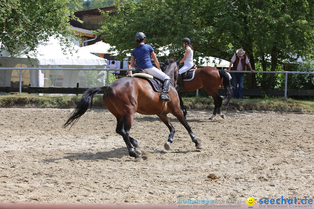 Reitturnier auf dem Ziegelhof in Dettingen-Wallhausen am Bodensee, 22.06.20