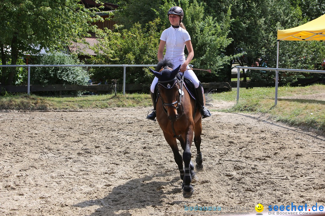 Reitturnier auf dem Ziegelhof in Dettingen-Wallhausen am Bodensee, 22.06.20