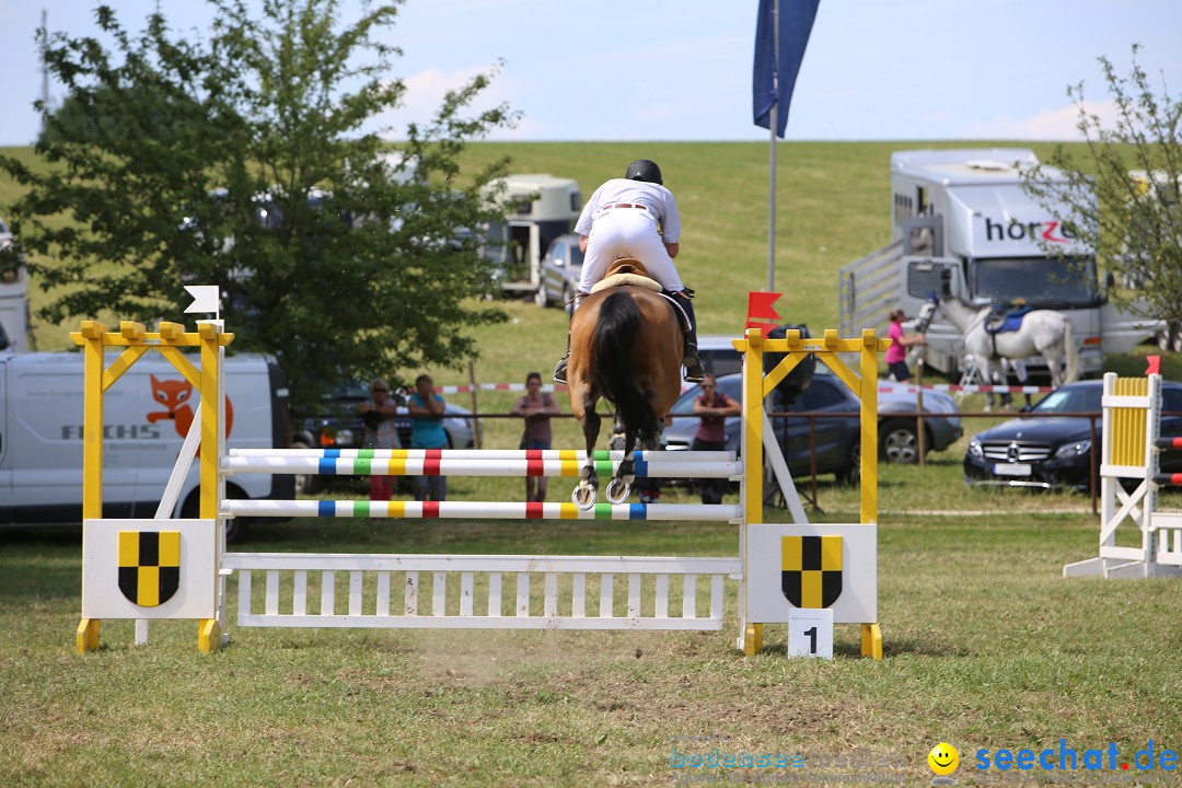 Reitturnier auf dem Ziegelhof in Dettingen-Wallhausen am Bodensee, 22.06.20