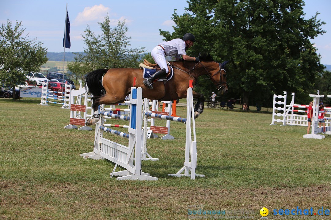 Reitturnier auf dem Ziegelhof in Dettingen-Wallhausen am Bodensee, 22.06.20