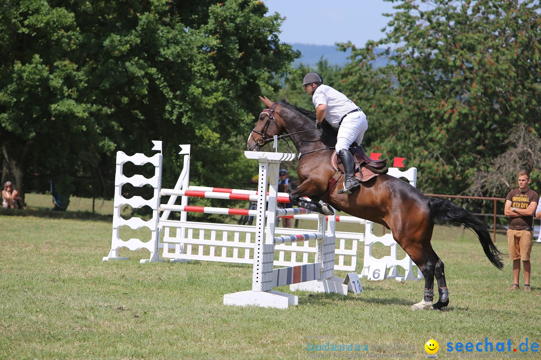 Reitturnier auf dem Ziegelhof in Dettingen-Wallhausen am Bodensee, 22.06.20