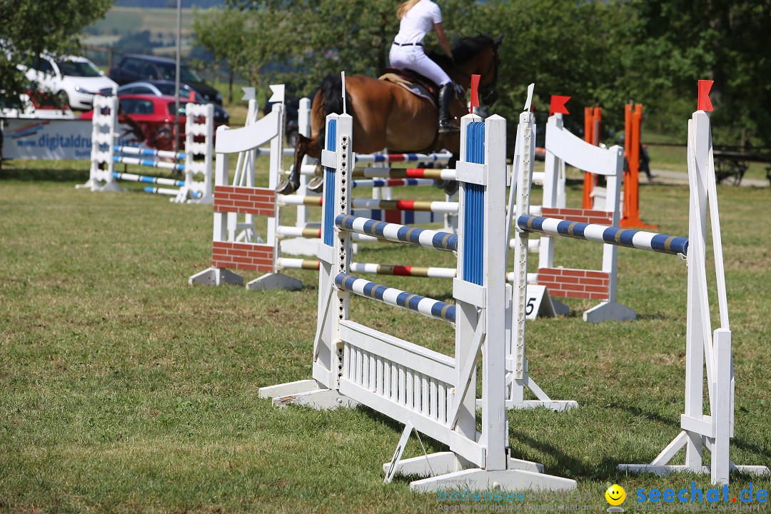 Reitturnier auf dem Ziegelhof in Dettingen-Wallhausen am Bodensee, 22.06.20