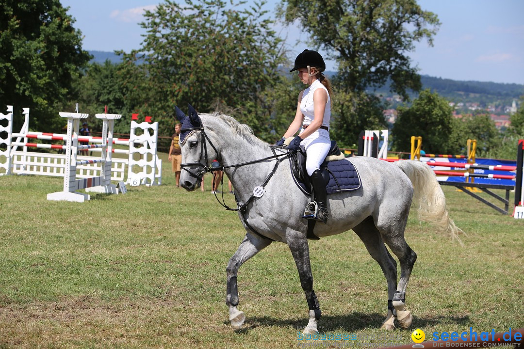 Reitturnier auf dem Ziegelhof in Dettingen-Wallhausen am Bodensee, 22.06.20