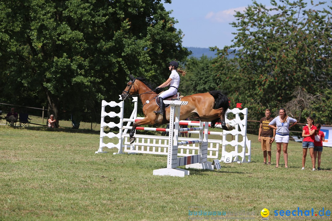 Reitturnier auf dem Ziegelhof in Dettingen-Wallhausen am Bodensee, 22.06.20