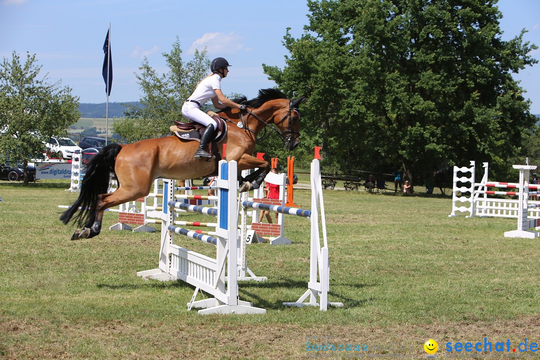 Reitturnier auf dem Ziegelhof in Dettingen-Wallhausen am Bodensee, 22.06.20