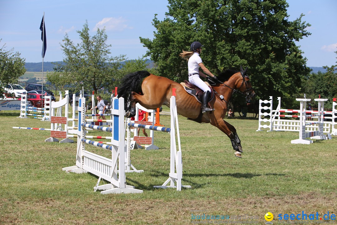 Reitturnier auf dem Ziegelhof in Dettingen-Wallhausen am Bodensee, 22.06.20