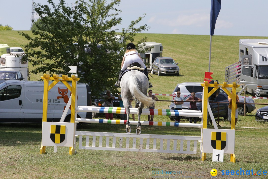 Reitturnier auf dem Ziegelhof in Dettingen-Wallhausen am Bodensee, 22.06.20