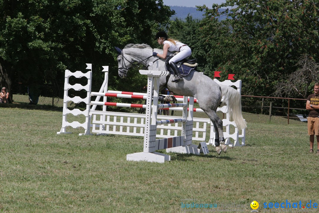 Reitturnier auf dem Ziegelhof in Dettingen-Wallhausen am Bodensee, 22.06.20