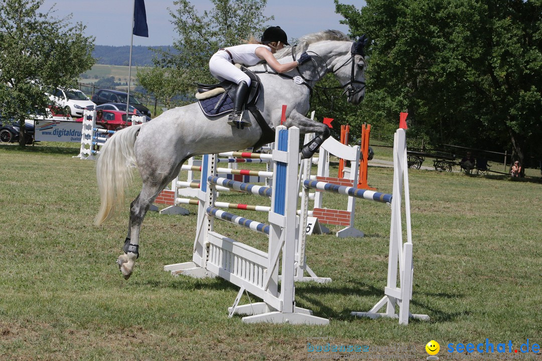 Reitturnier auf dem Ziegelhof in Dettingen-Wallhausen am Bodensee, 22.06.20