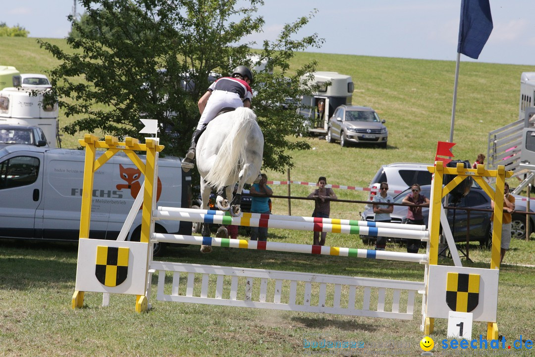 Reitturnier auf dem Ziegelhof in Dettingen-Wallhausen am Bodensee, 22.06.20