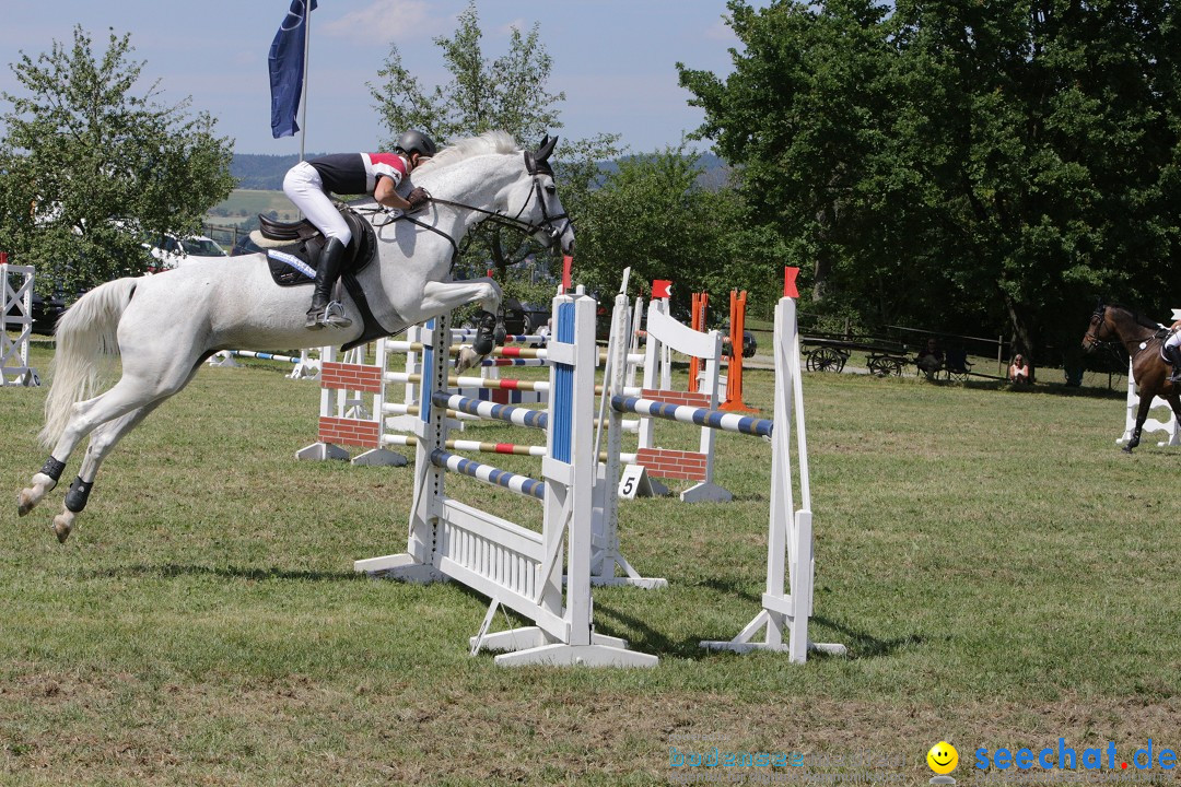 Reitturnier auf dem Ziegelhof in Dettingen-Wallhausen am Bodensee, 22.06.20