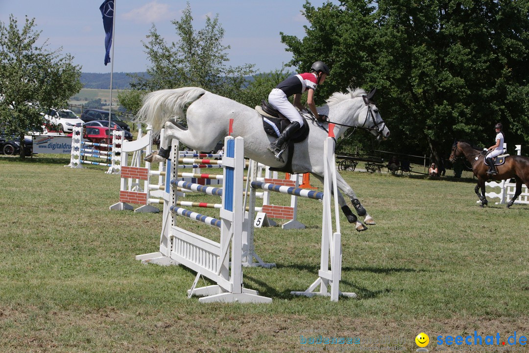 Reitturnier auf dem Ziegelhof in Dettingen-Wallhausen am Bodensee, 22.06.20