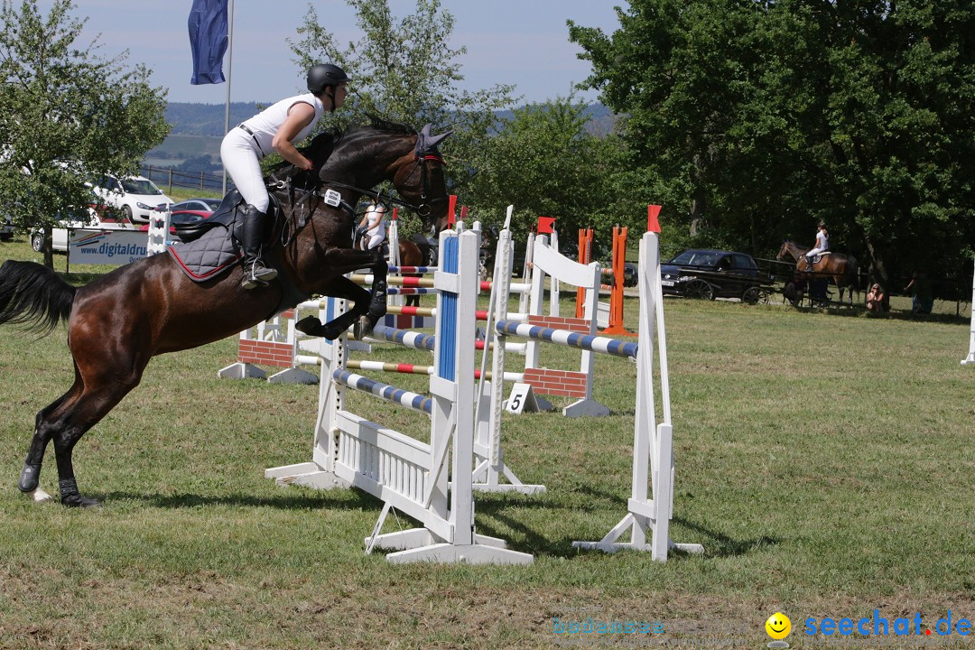 Reitturnier auf dem Ziegelhof in Dettingen-Wallhausen am Bodensee, 22.06.20