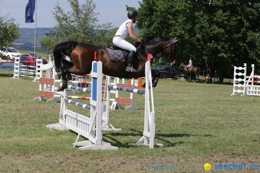 Reitturnier auf dem Ziegelhof in Dettingen-Wallhausen am Bodensee, 22.06.20