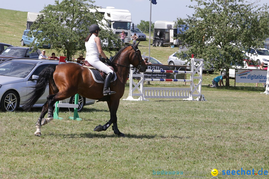 Reitturnier auf dem Ziegelhof in Dettingen-Wallhausen am Bodensee, 22.06.20