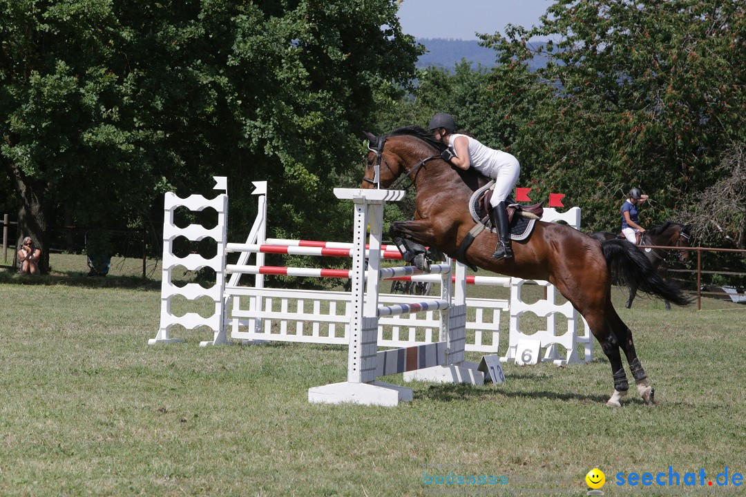 Reitturnier auf dem Ziegelhof in Dettingen-Wallhausen am Bodensee, 22.06.20