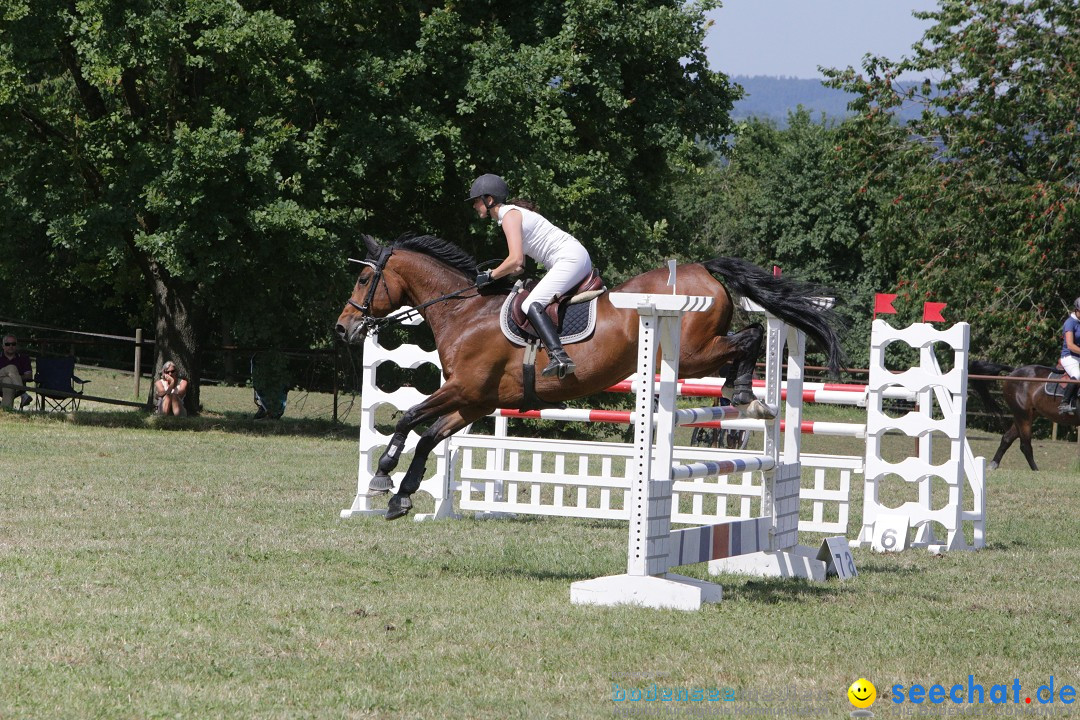 Reitturnier auf dem Ziegelhof in Dettingen-Wallhausen am Bodensee, 22.06.20