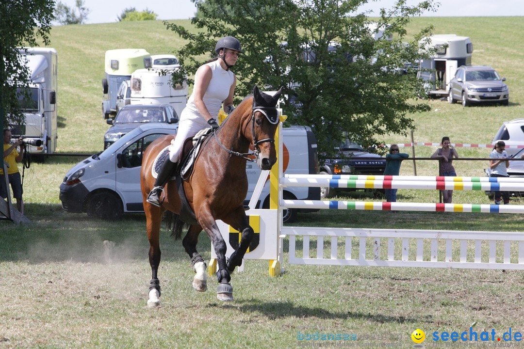 Reitturnier auf dem Ziegelhof in Dettingen-Wallhausen am Bodensee, 22.06.20