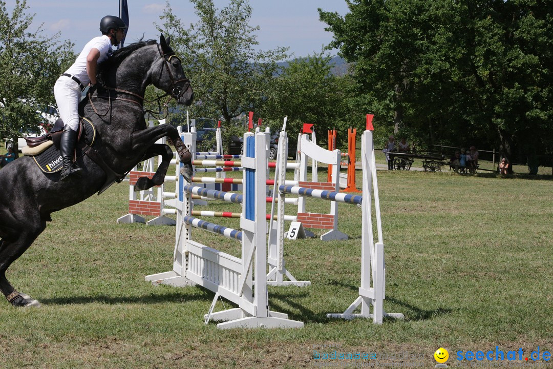 Reitturnier auf dem Ziegelhof in Dettingen-Wallhausen am Bodensee, 22.06.20