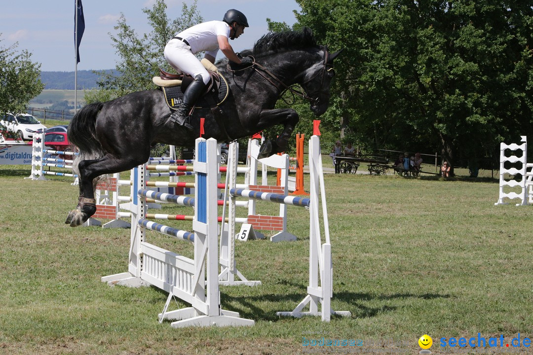 Reitturnier auf dem Ziegelhof in Dettingen-Wallhausen am Bodensee, 22.06.20