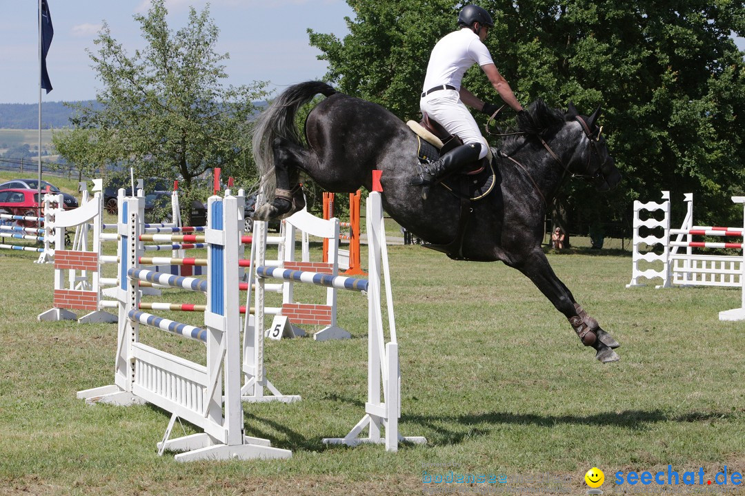 Reitturnier auf dem Ziegelhof in Dettingen-Wallhausen am Bodensee, 22.06.20