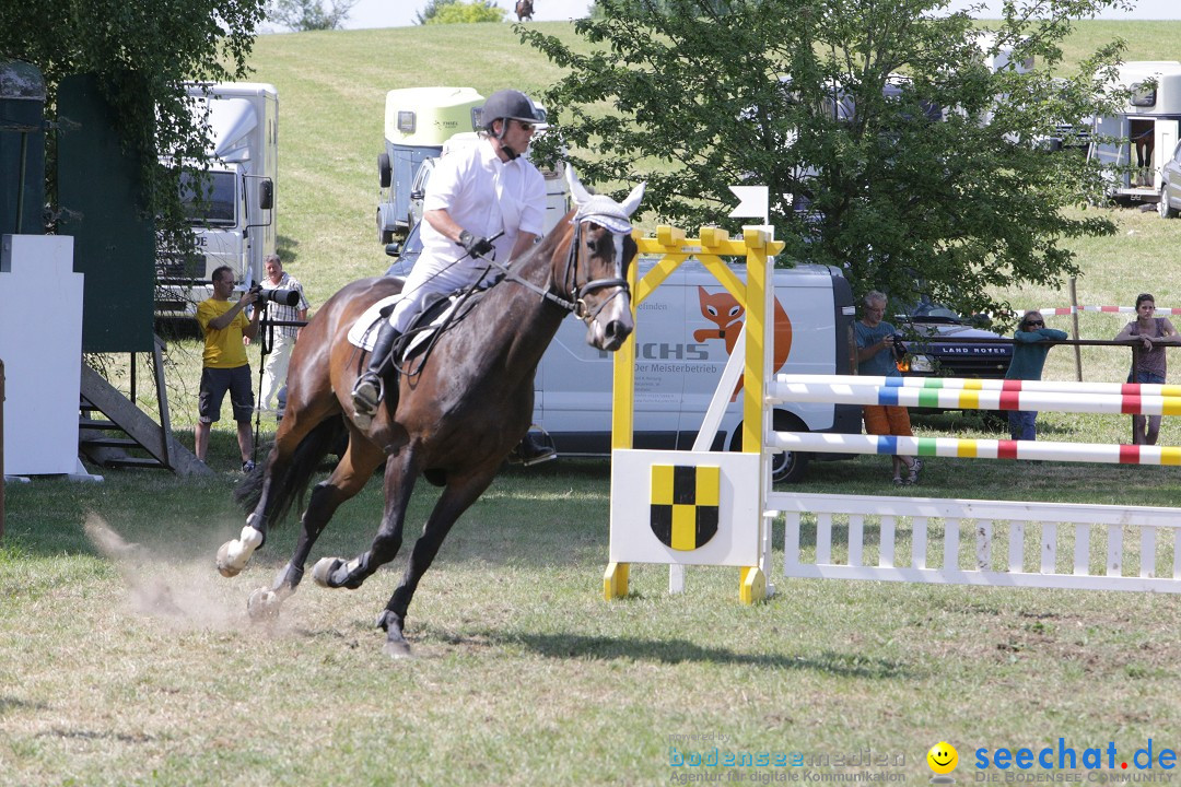 Reitturnier auf dem Ziegelhof in Dettingen-Wallhausen am Bodensee, 22.06.20