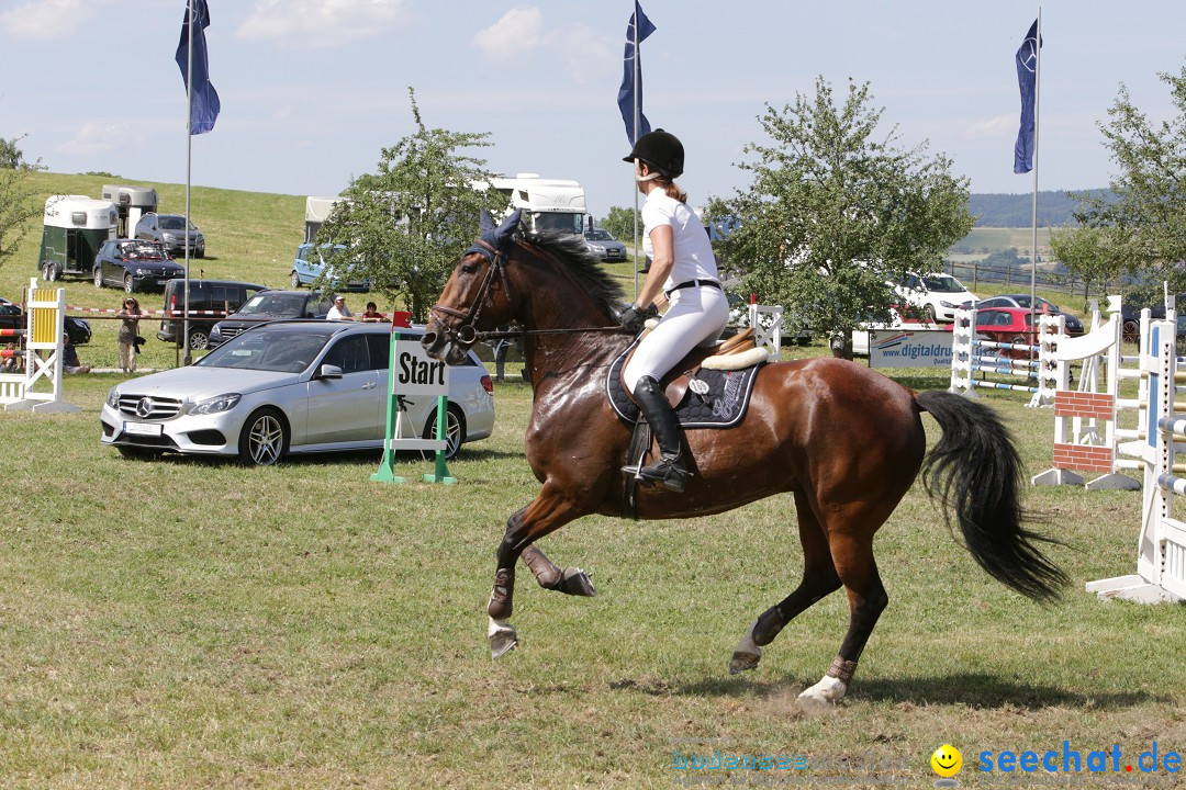 Reitturnier auf dem Ziegelhof in Dettingen-Wallhausen am Bodensee, 22.06.20