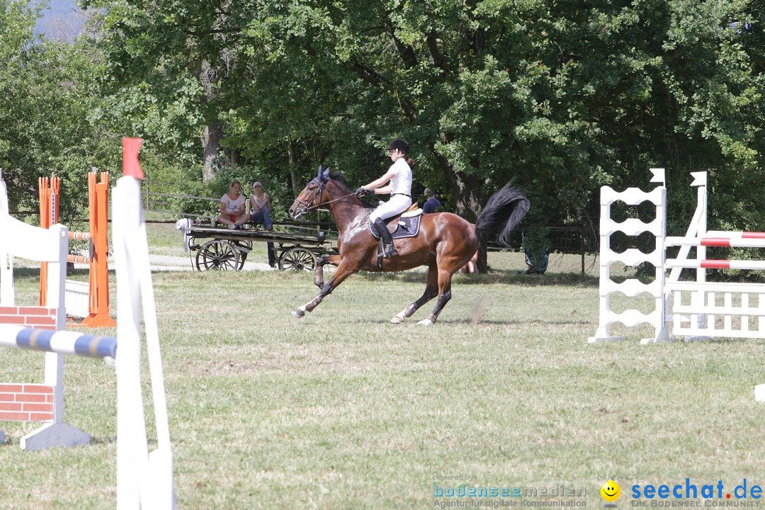 Reitturnier auf dem Ziegelhof in Dettingen-Wallhausen am Bodensee, 22.06.20