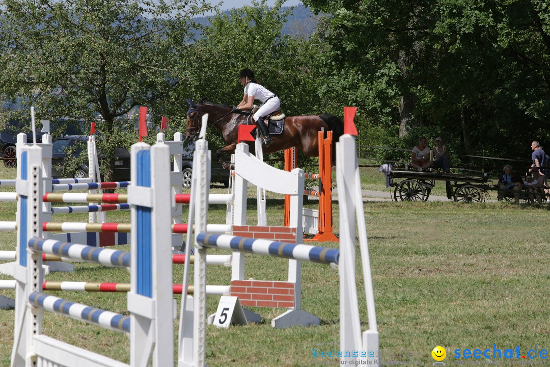 Reitturnier auf dem Ziegelhof in Dettingen-Wallhausen am Bodensee, 22.06.20