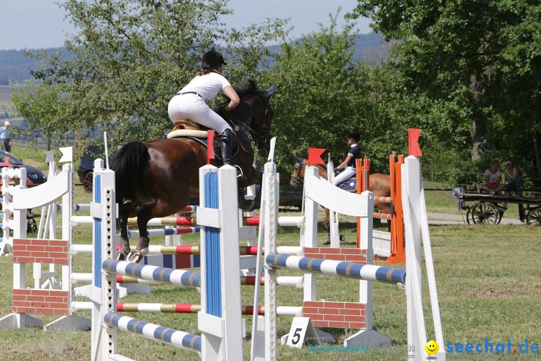 Reitturnier auf dem Ziegelhof in Dettingen-Wallhausen am Bodensee, 22.06.20