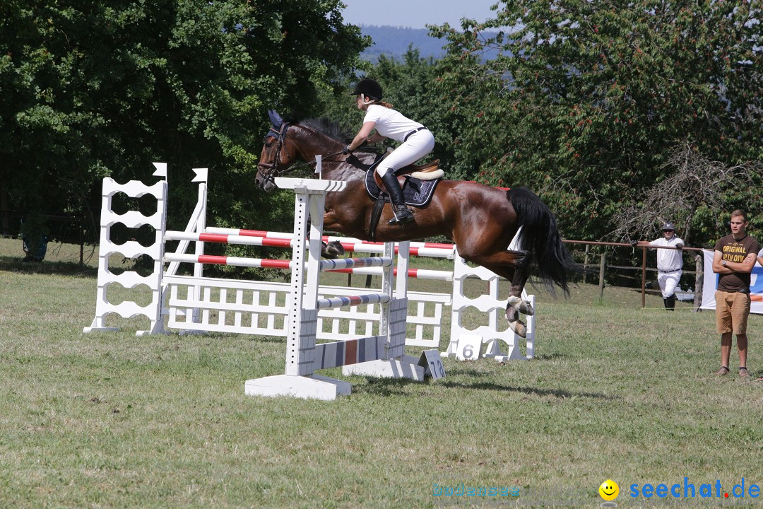 Reitturnier auf dem Ziegelhof in Dettingen-Wallhausen am Bodensee, 22.06.20