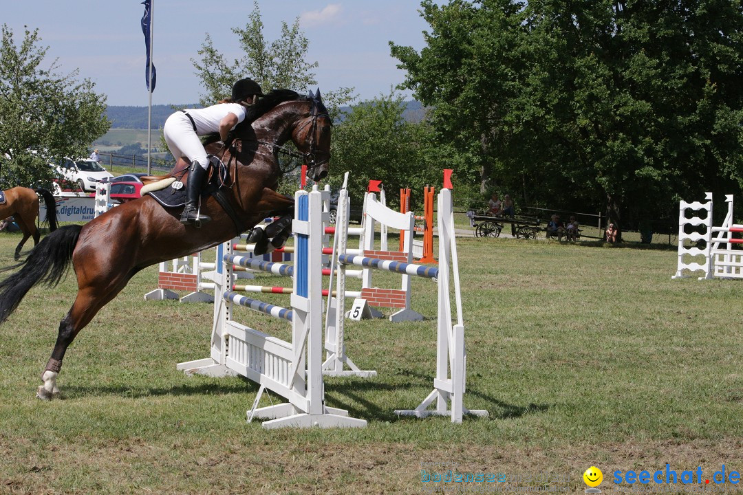 Reitturnier auf dem Ziegelhof in Dettingen-Wallhausen am Bodensee, 22.06.20