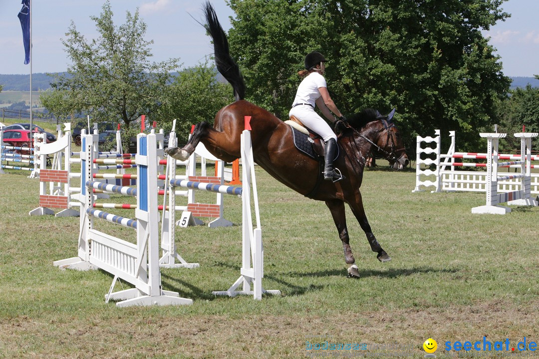 Reitturnier auf dem Ziegelhof in Dettingen-Wallhausen am Bodensee, 22.06.20