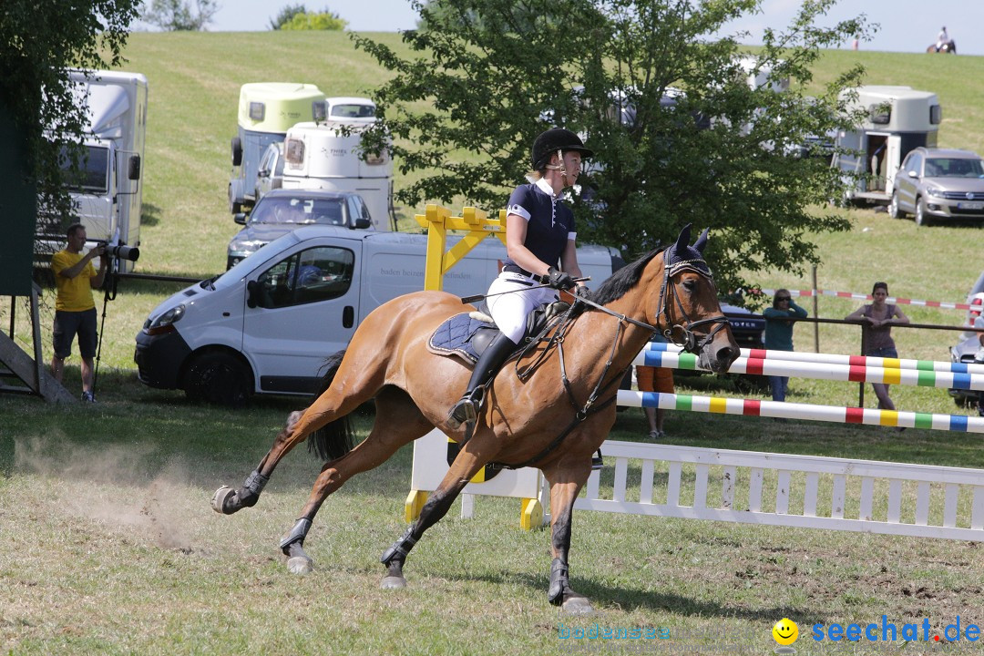 Reitturnier auf dem Ziegelhof in Dettingen-Wallhausen am Bodensee, 22.06.20