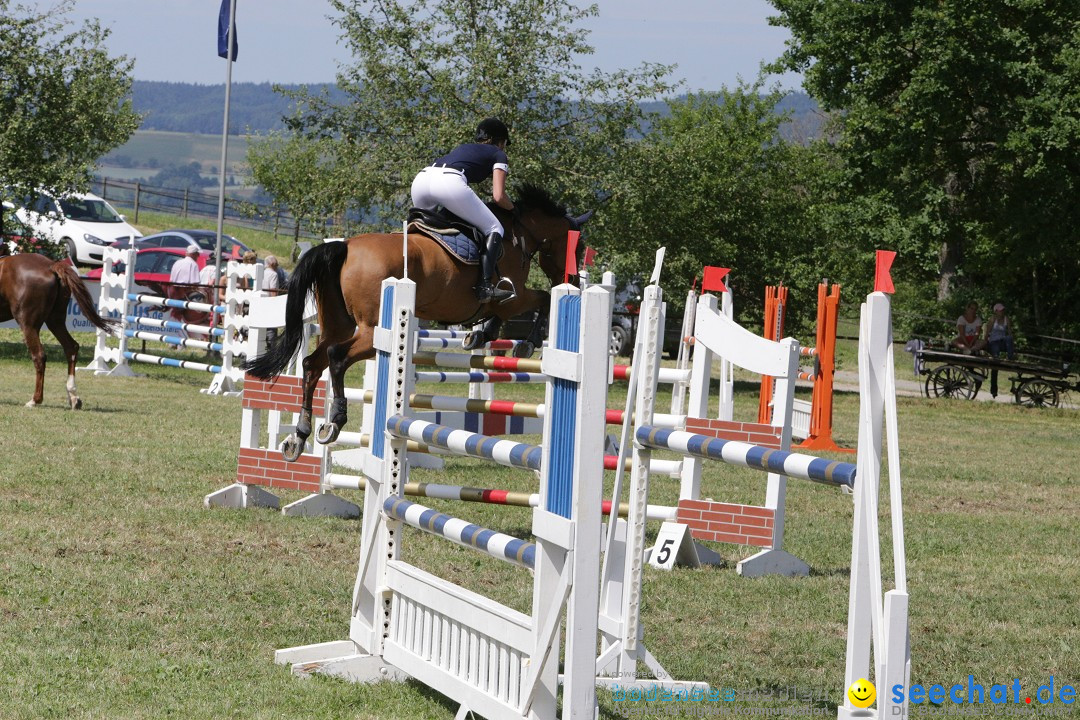 Reitturnier auf dem Ziegelhof in Dettingen-Wallhausen am Bodensee, 22.06.20