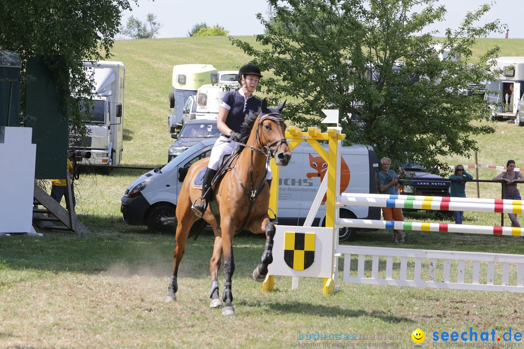 Reitturnier auf dem Ziegelhof in Dettingen-Wallhausen am Bodensee, 22.06.20