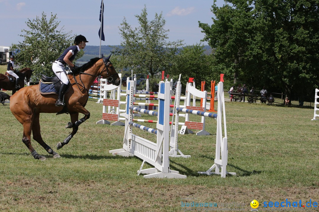 Reitturnier auf dem Ziegelhof in Dettingen-Wallhausen am Bodensee, 22.06.20